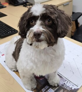 Staff member Coco from ID_84f93824e2bc