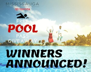 Website_Winners-300x240.png
