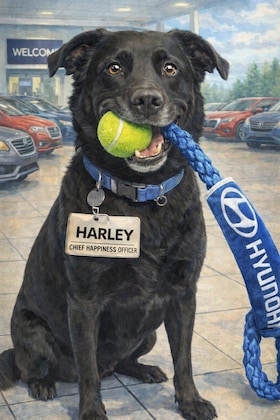 Staff member Harley from ID_70823447c998