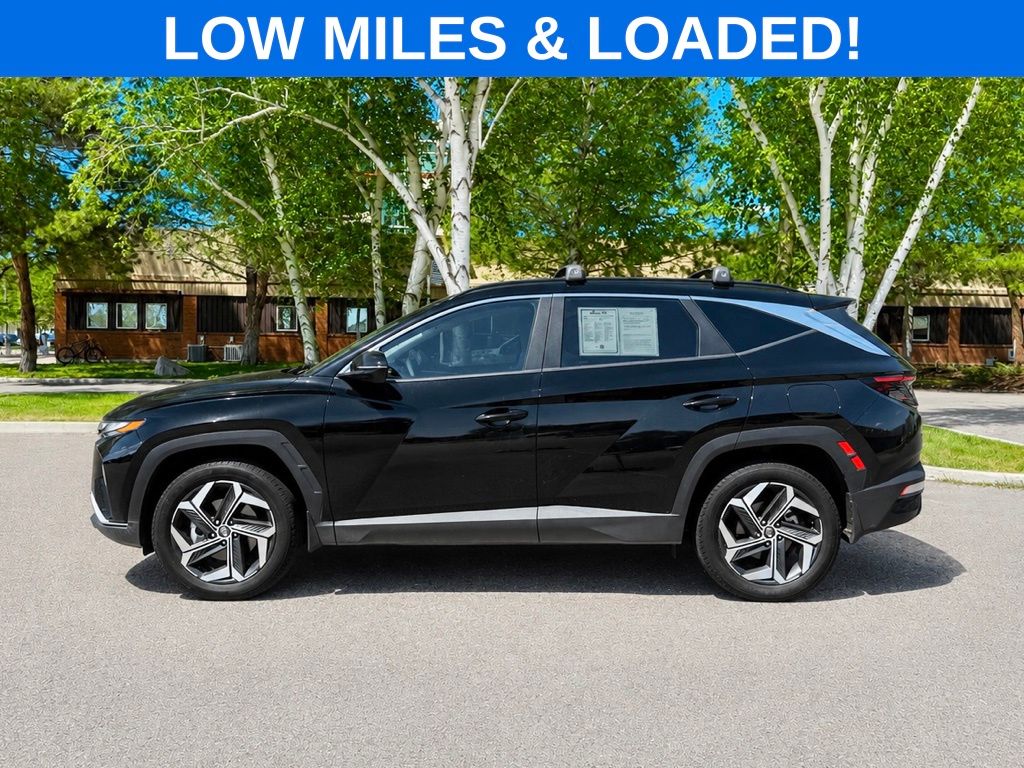 Hyundai Certified Used Vehicles | Missoula Hyundai