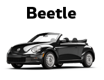 Search Beetle