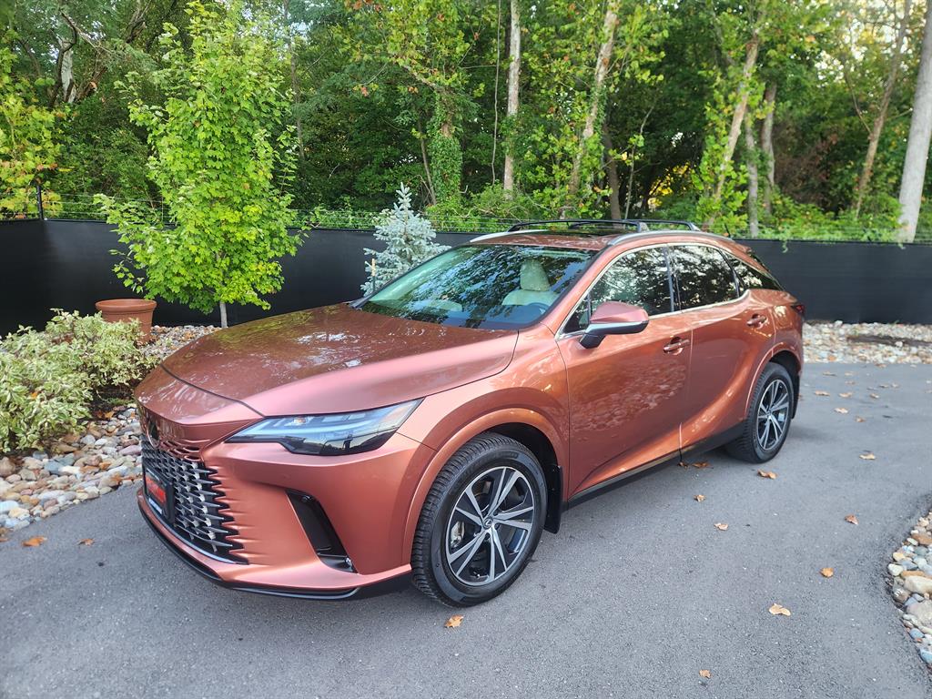 2023 Lexus RX 350's photo