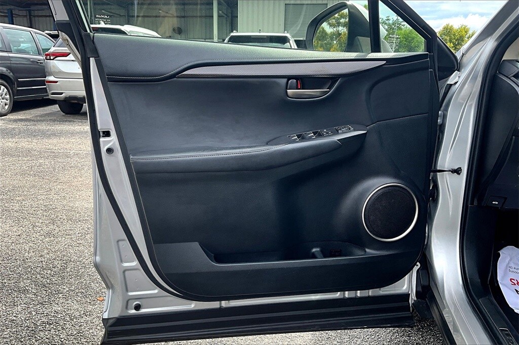 2019 Lexus NX 300 Luxury photo 2