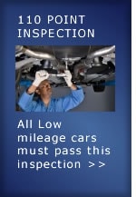 110 Point Inspection