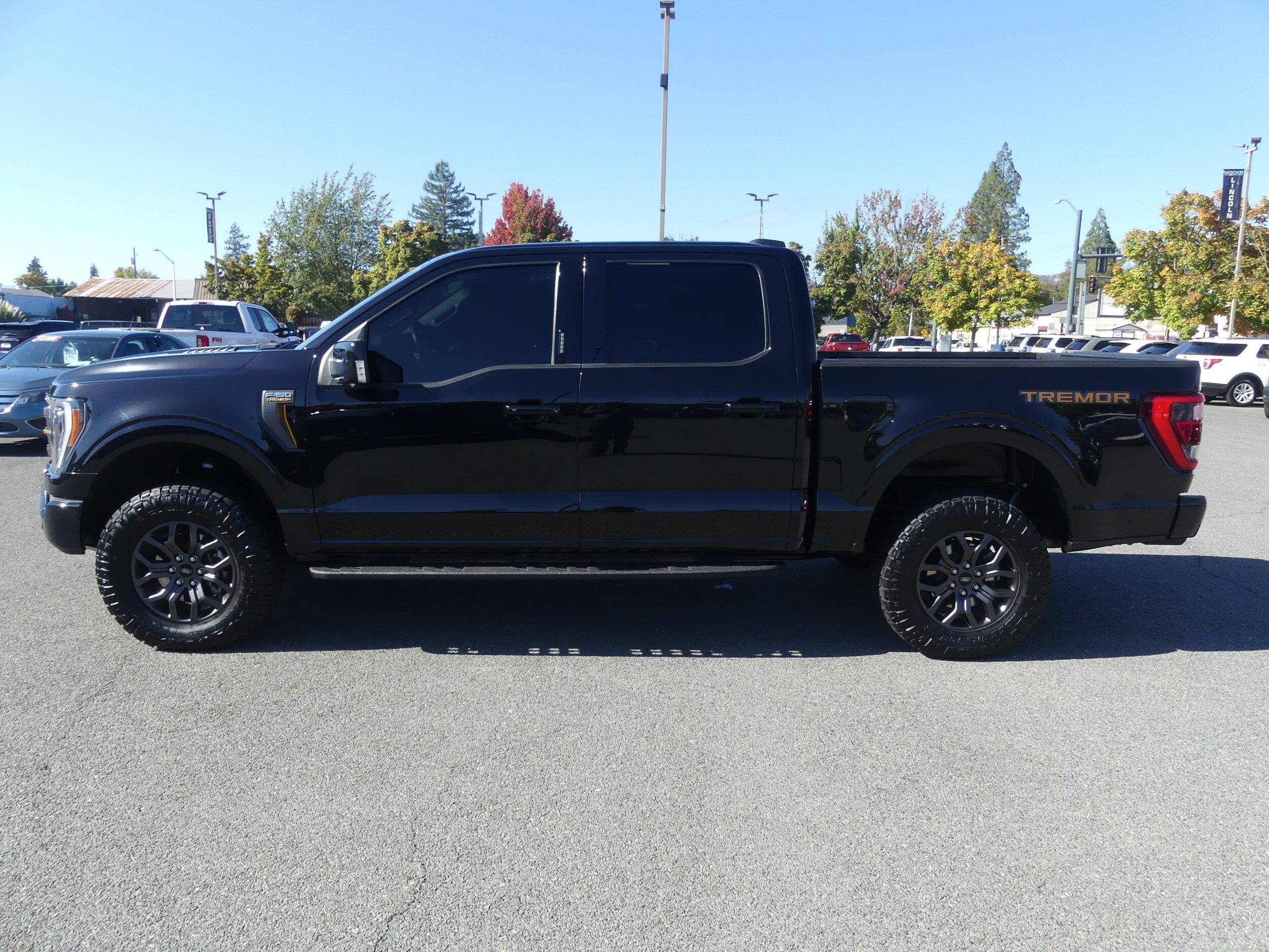 2022 Ford F-150 Tremor photo 2