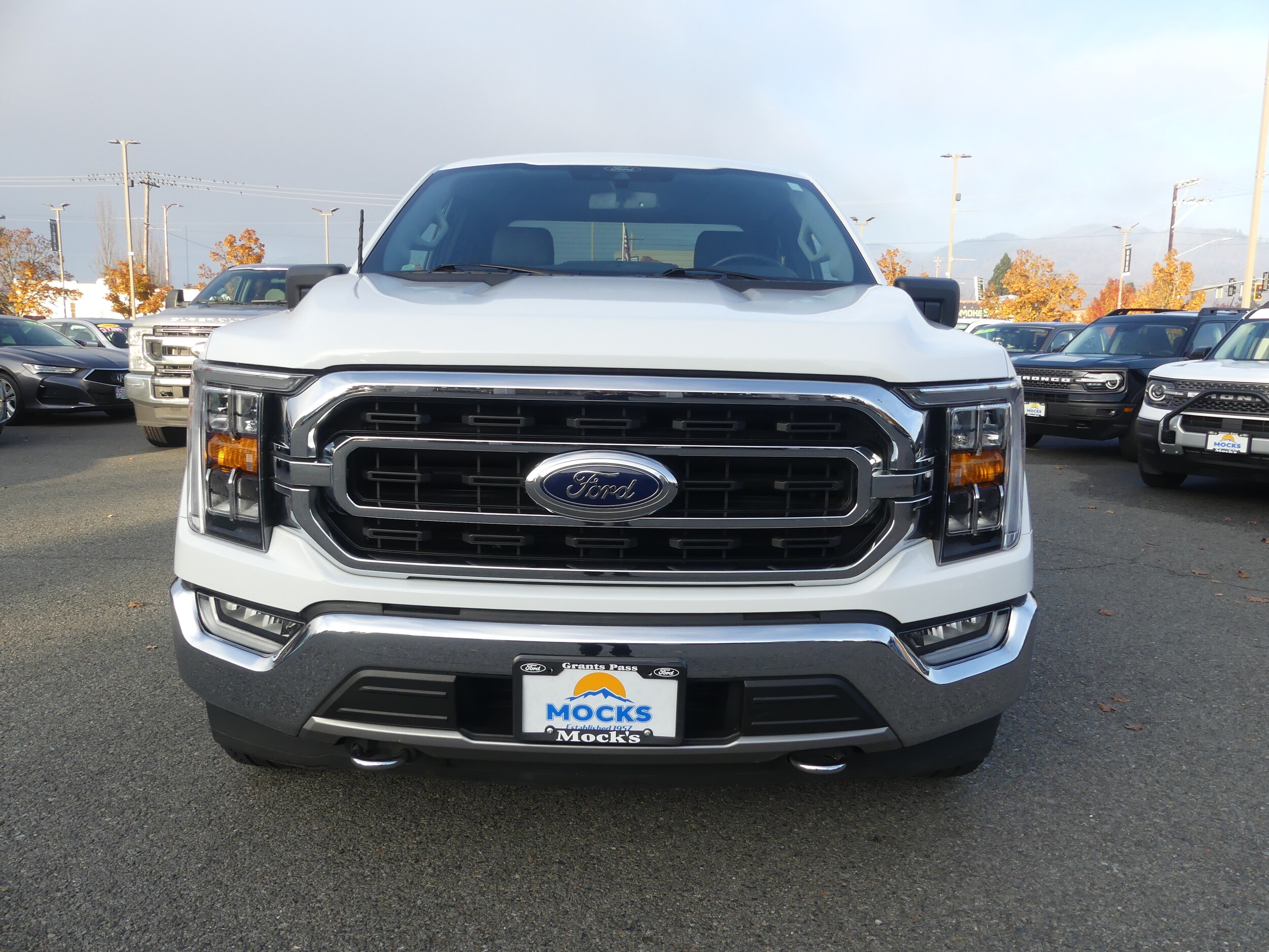 2021 Ford F-150 photo 2