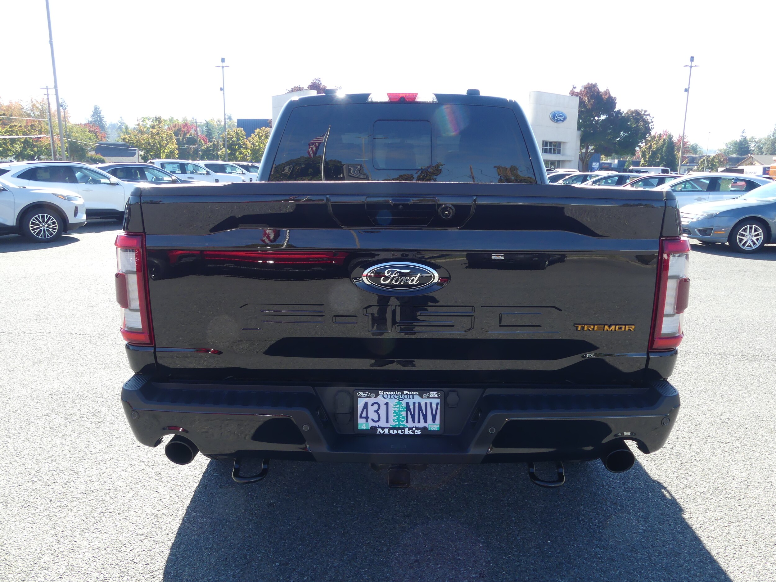 2022 Ford F-150 Tremor photo 3