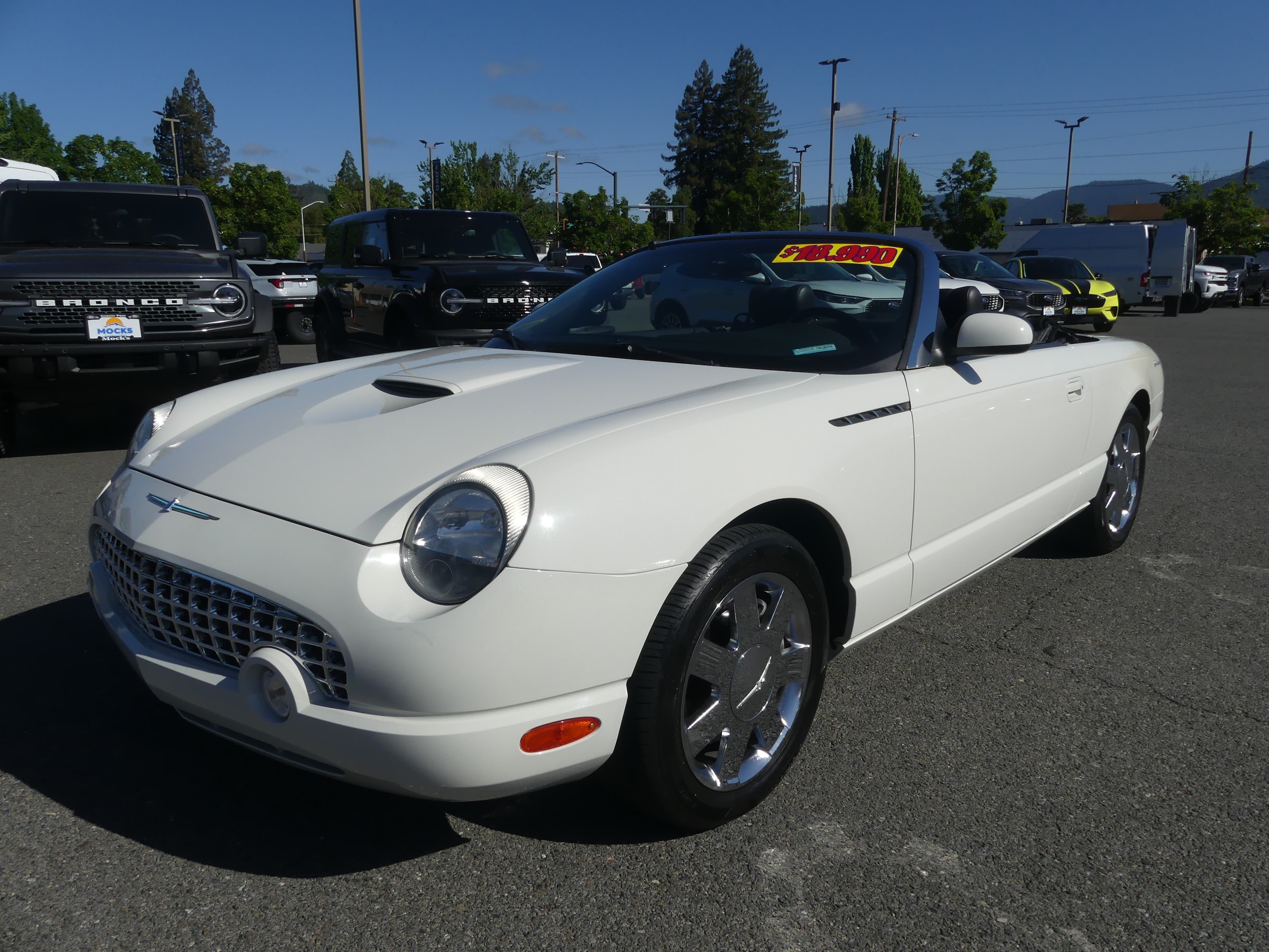2002 Ford Thunderbird Deluxe With Removable Top's photo