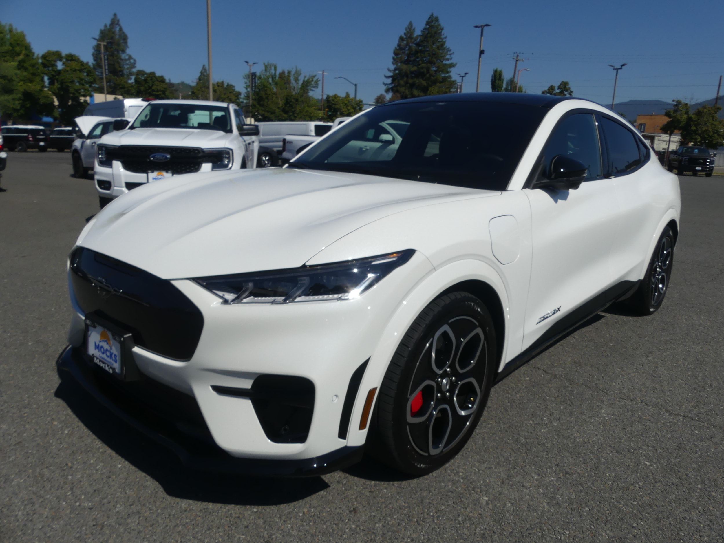 2022 Ford Mustang Mach-E GT AWD's photo
