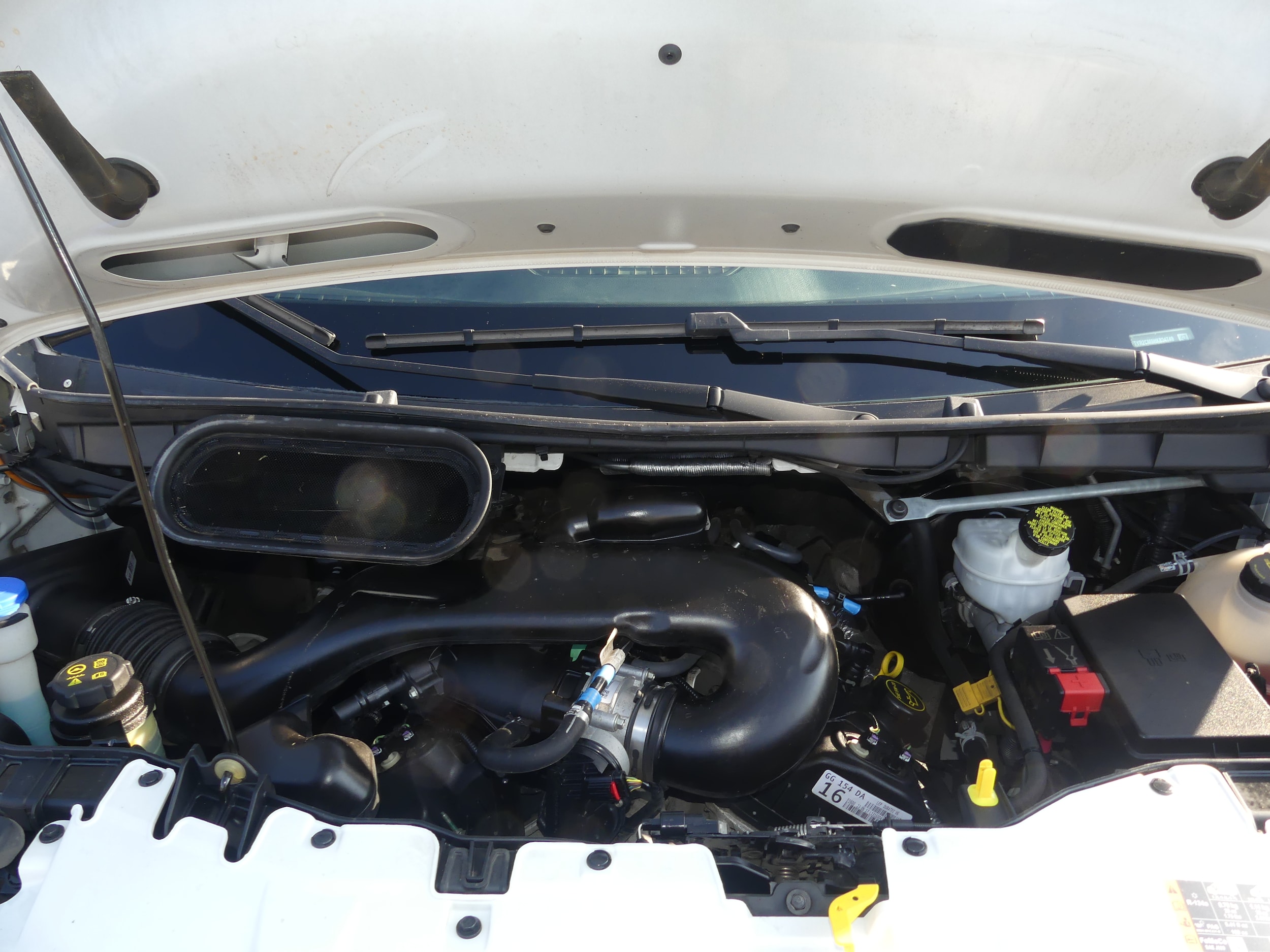 Photo 20
