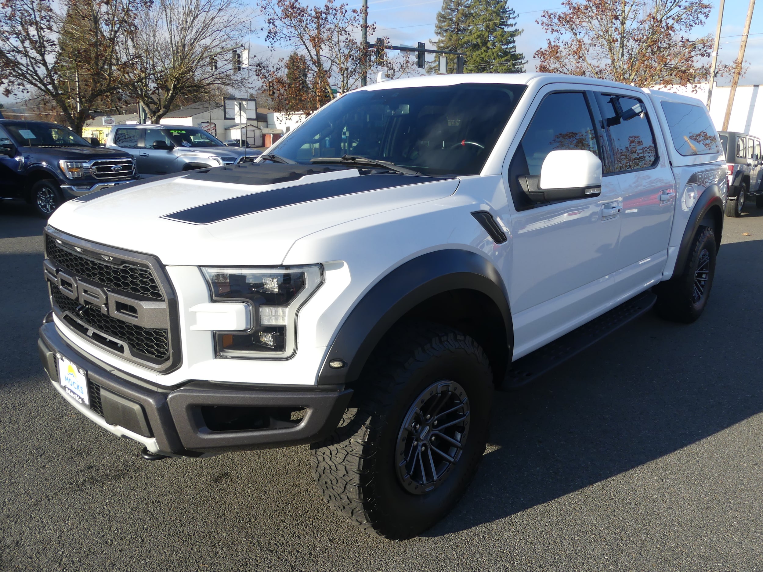 2019 Ford F-150 Raptor's photo