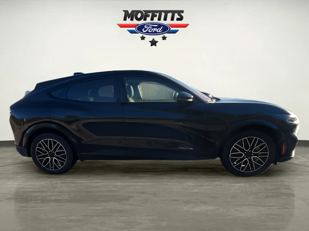 2025 Ford Mustang Mach-E Premium - Photo 6