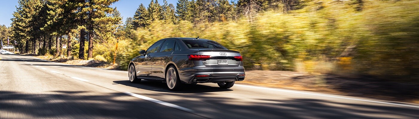 Audi A4 driving away in a sunny forest