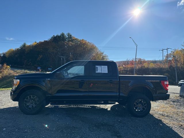 2022 Ford F-150 Tremor - Photo 6