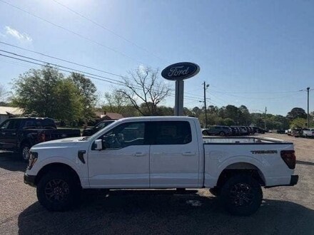 2025 Ford F-150 Tremor Truck