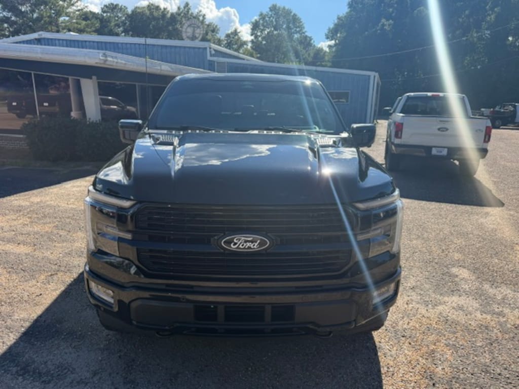Used 2024 Ford F-150 Platinum Truck
