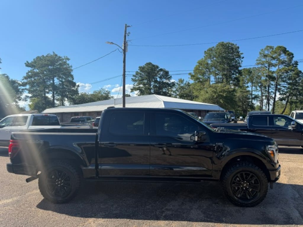 Used 2024 Ford F-150 Platinum Truck