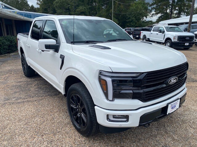 2025 Ford F-150 Platinum photo 4