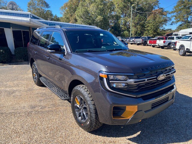 2025 Ford Expedition photo 4