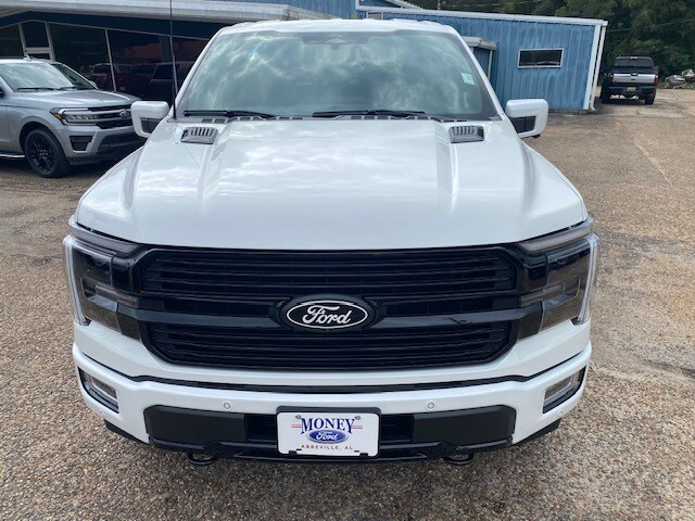 2025 Ford F-150 Platinum photo 3