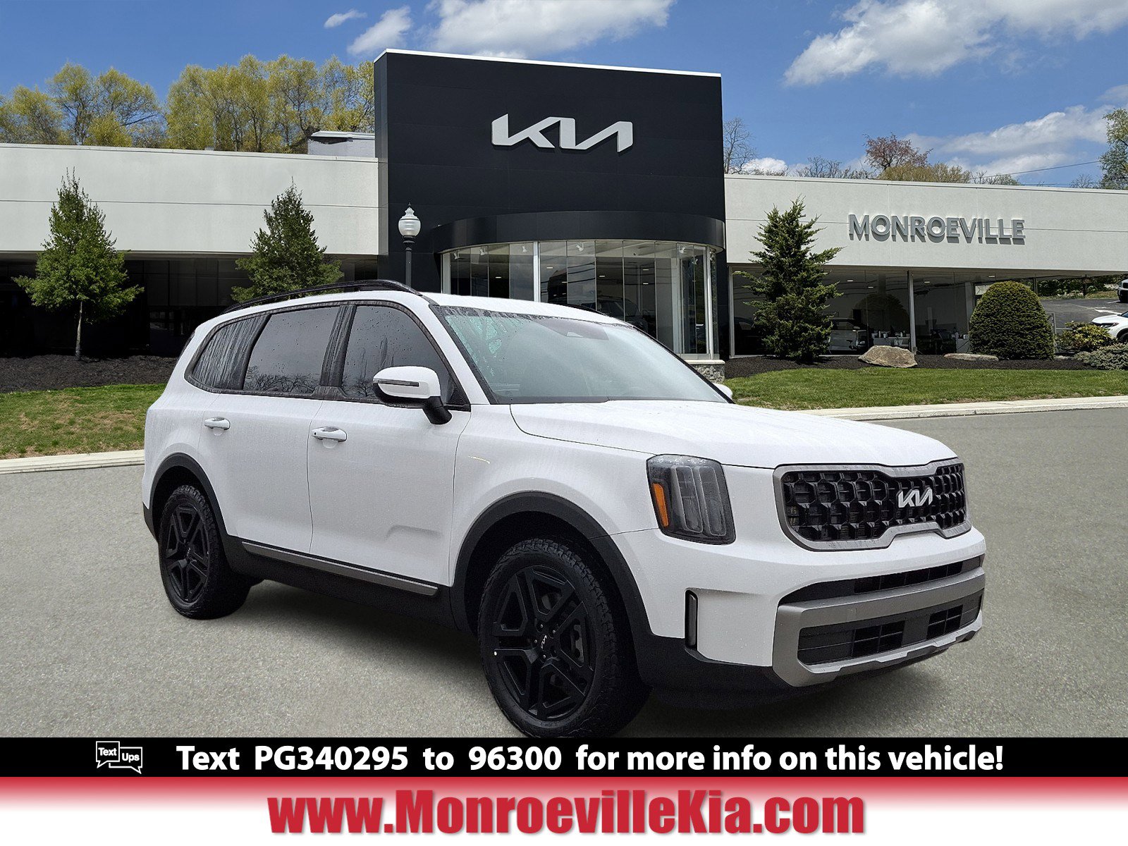 2023 Kia Telluride EX X-Line's photo