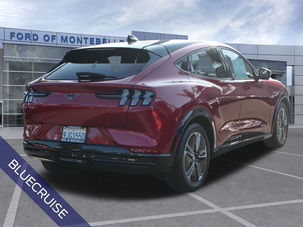 Used 2023 Ford Mustang Mach-E Premium RWD with VIN 3FMTK3R47PMA71309 for sale in Montebello, CA