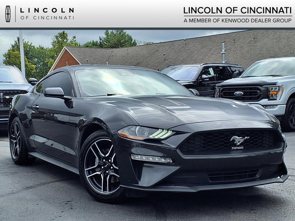 2022 Ford Mustang EcoBoost's photo