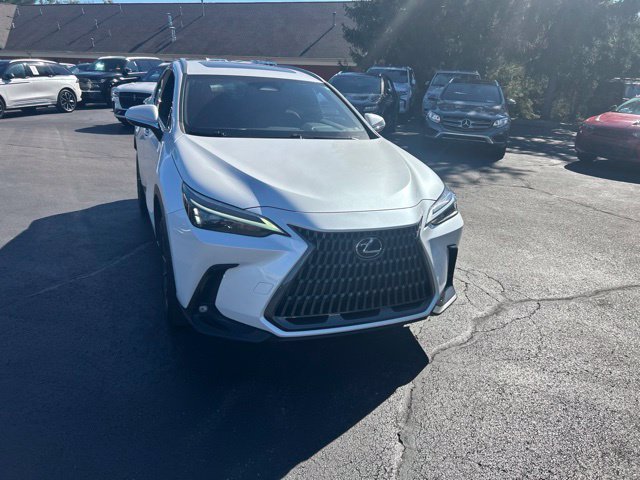Used 2024 Lexus NX 350 SUV