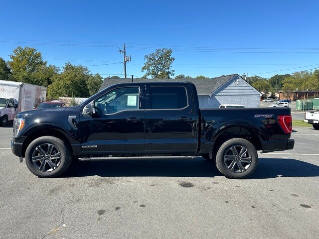 2023 Ford F-150 XLT photo 3