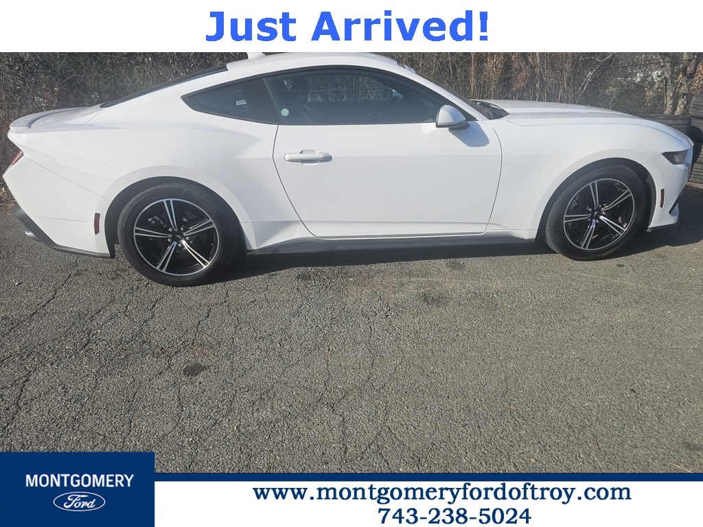 2024 Ford Mustang EcoBoost Premium's photo