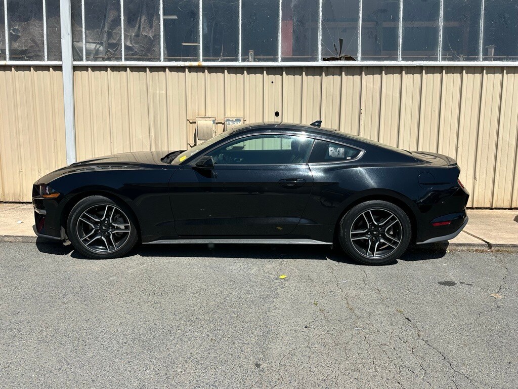 2023 Ford Mustang EcoBoost Premium photo 3