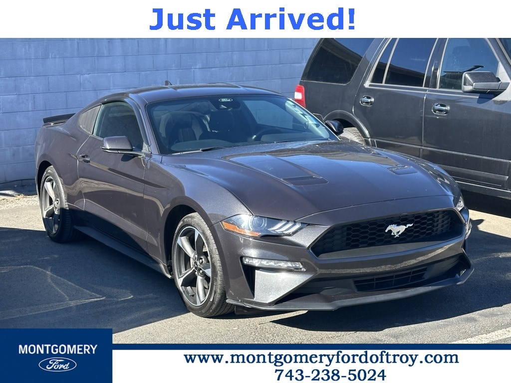 2022 Ford Mustang EcoBoost's photo