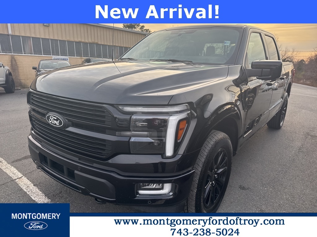 Used 2024 Ford F-150 Platinum Crew Cab Truck