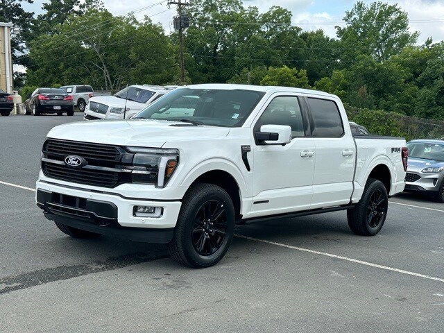 2025 Ford F-150 Platinum photo 2