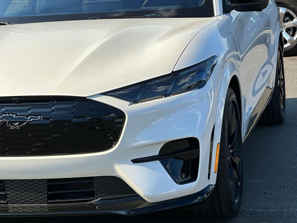 2025 Ford Mustang Mach-E GT - Photo 39