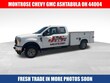 Ford Super Duty F-250 SRW