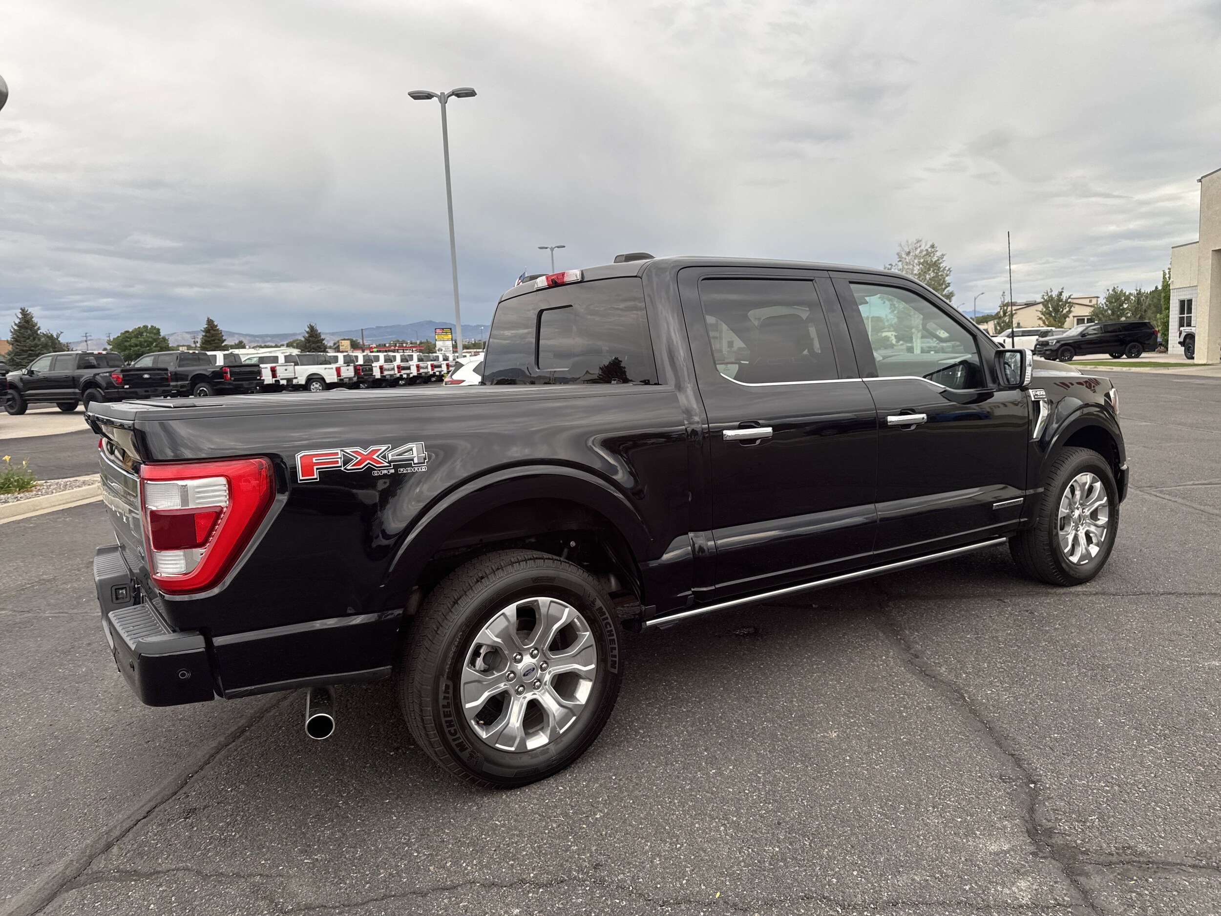 2022 Ford F-150 Platinum photo 3