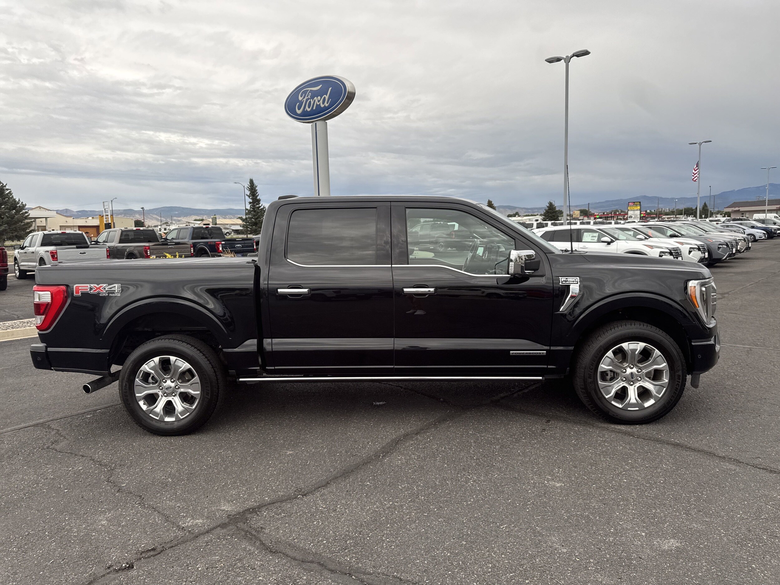 2022 Ford F-150 Platinum photo 2