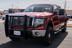 2010 Ford F-150 Truck