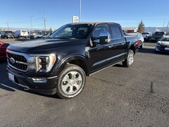 2021 Ford F-150 Platinum Truck