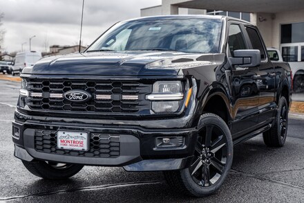 2025 Ford F-150 STX Truck