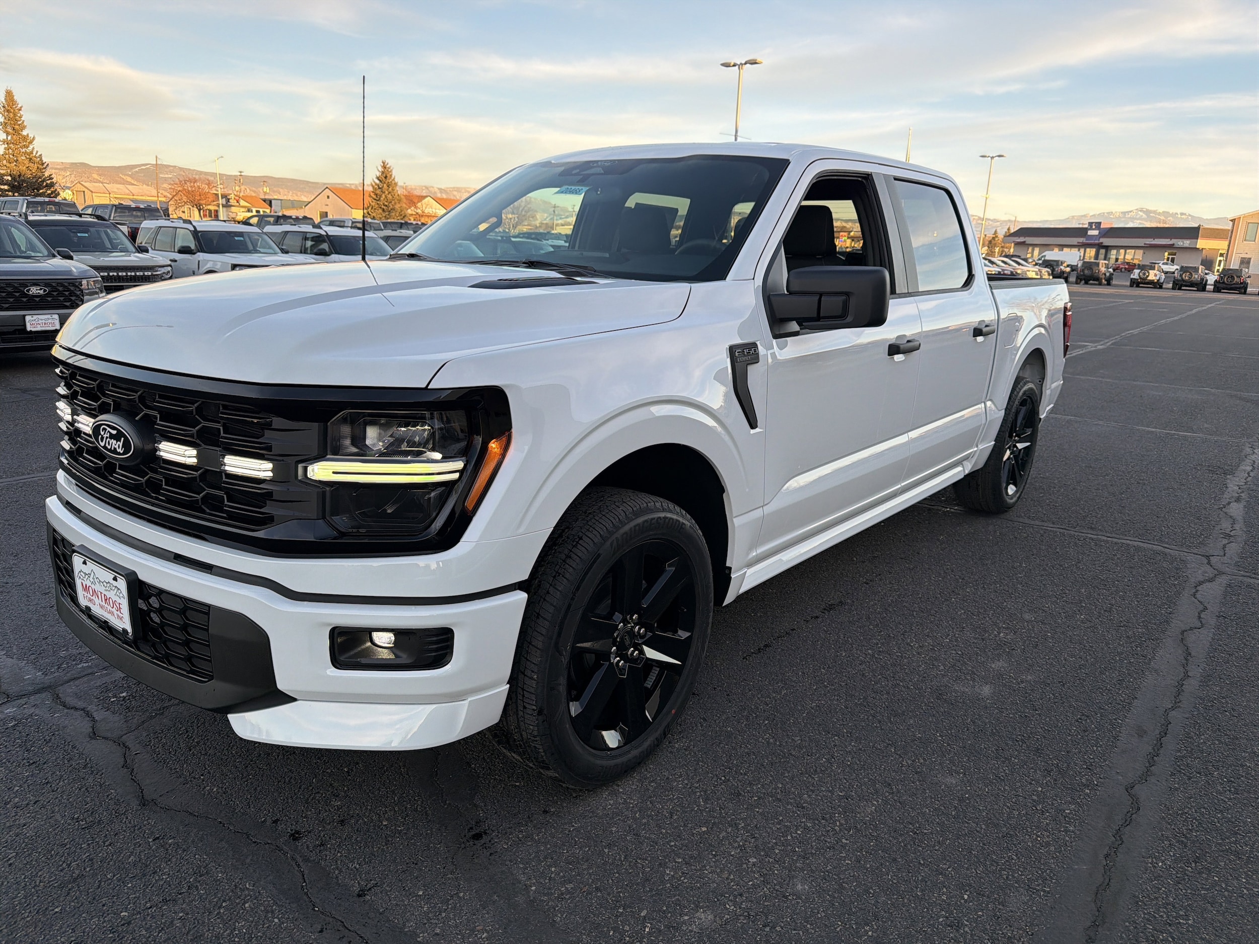 2025 Ford F-150 STX's photo