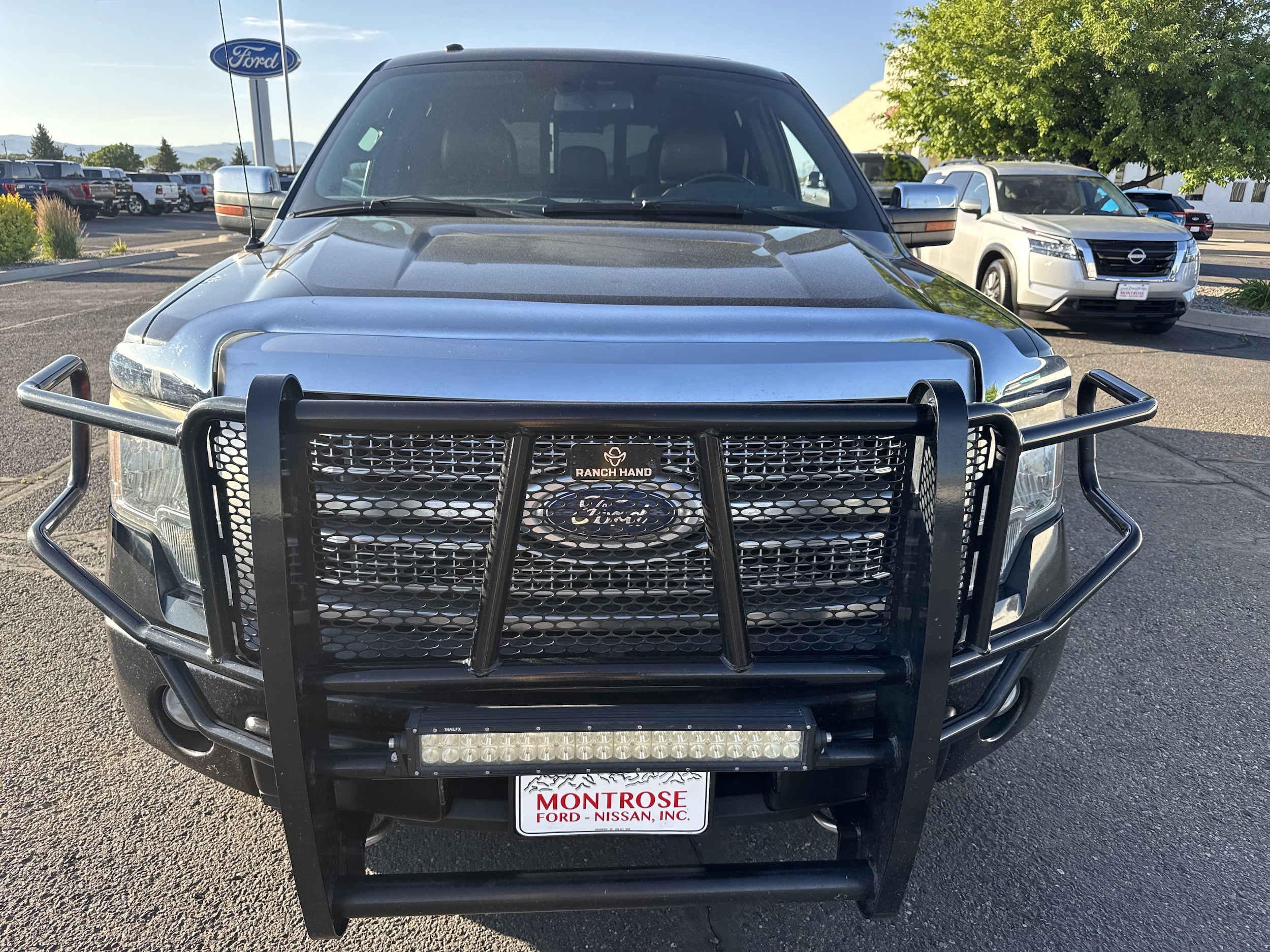 Used 2011 Ford F-150 Platinum with VIN 1FTFW1EF9BFA25653 for sale in Montrose, CO