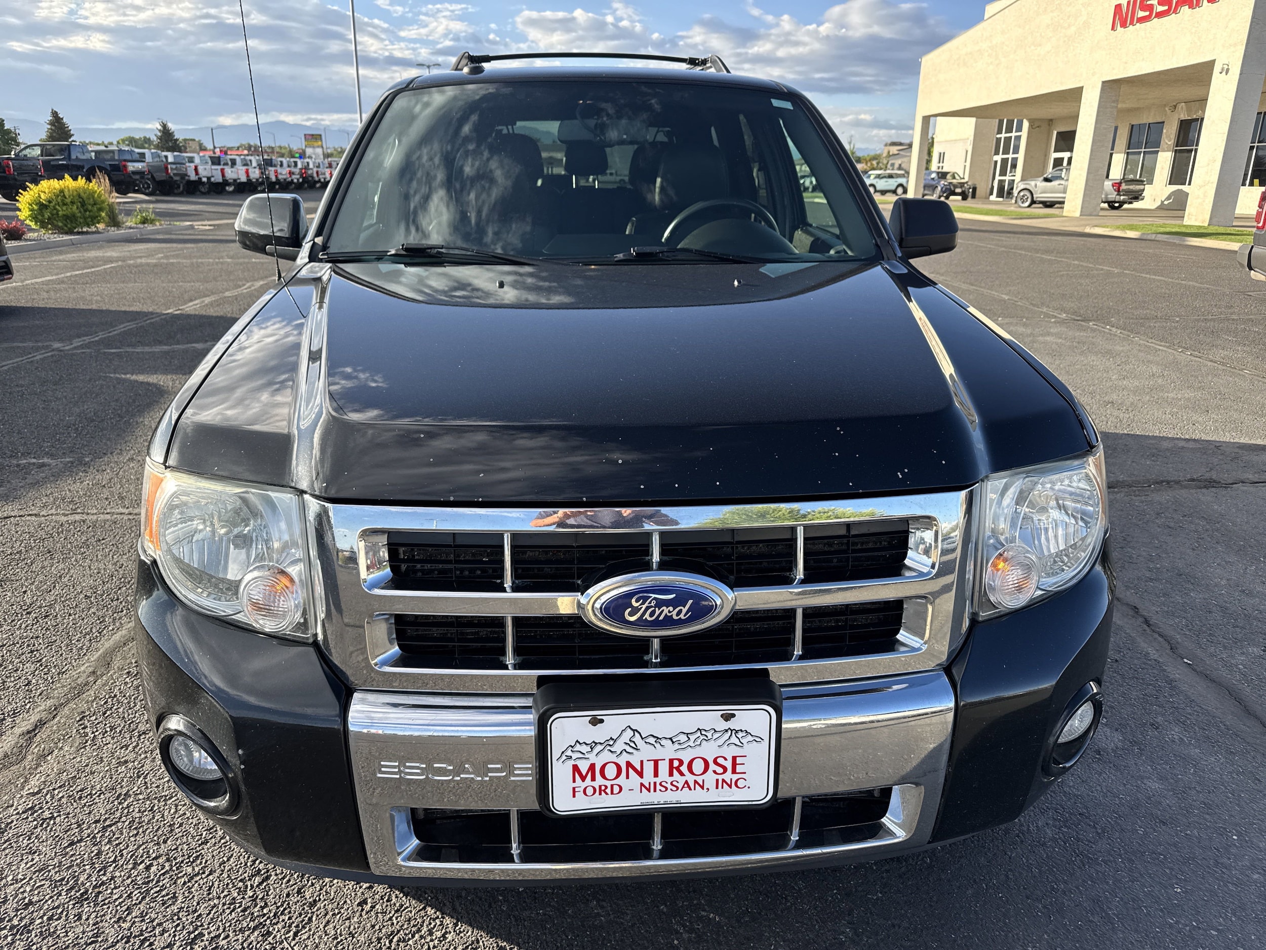 Used 2011 Ford Escape Limited with VIN 1FMCU9E72BKB96666 for sale in Montrose, CO
