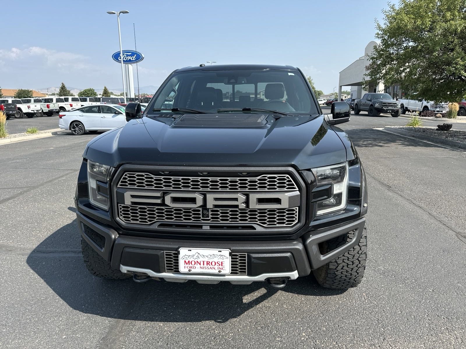 Used 2018 Ford F-150 Raptor with VIN 1FTFW1RG3JFA06310 for sale in Hermitage, PA