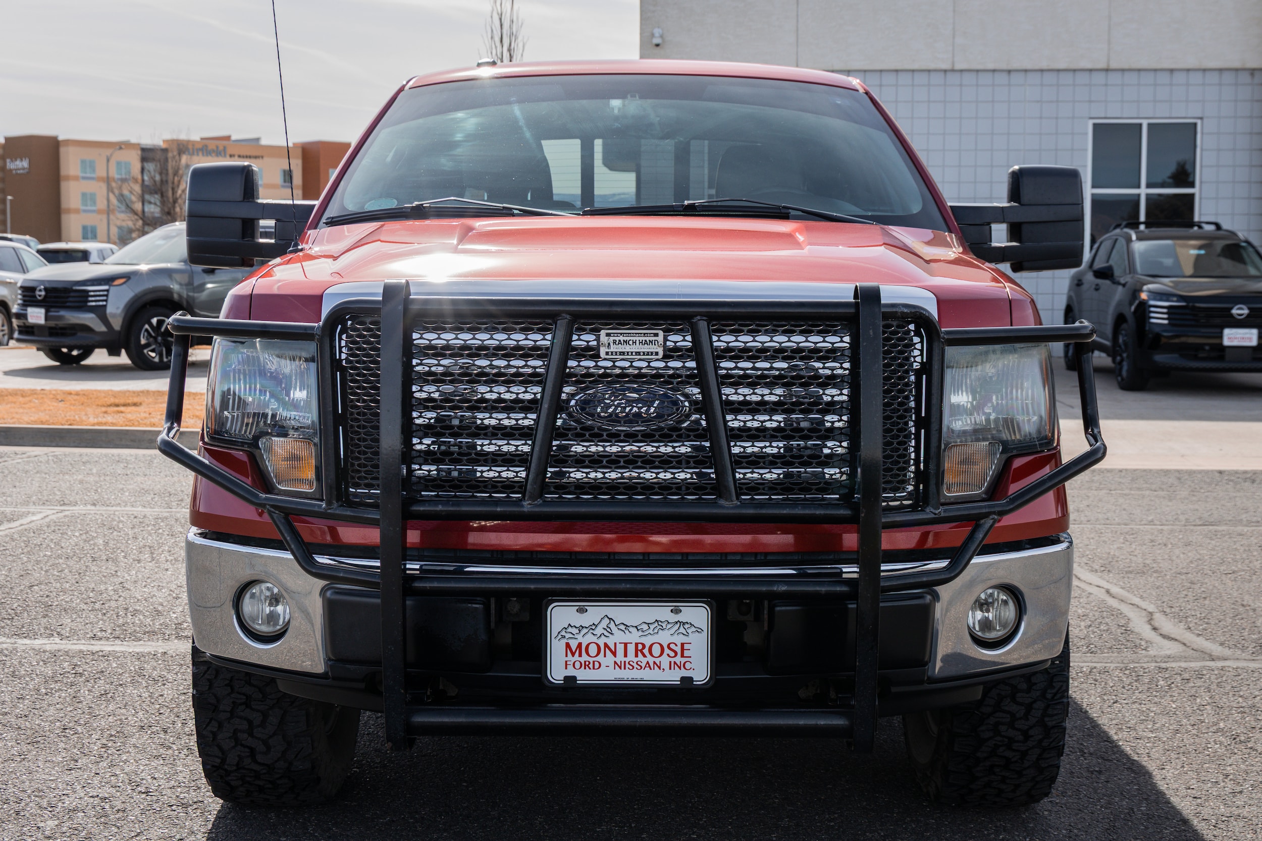Used 2010 Ford F-150 XLT with VIN 1FTFW1EV4AFD79599 for sale in Montrose, CO