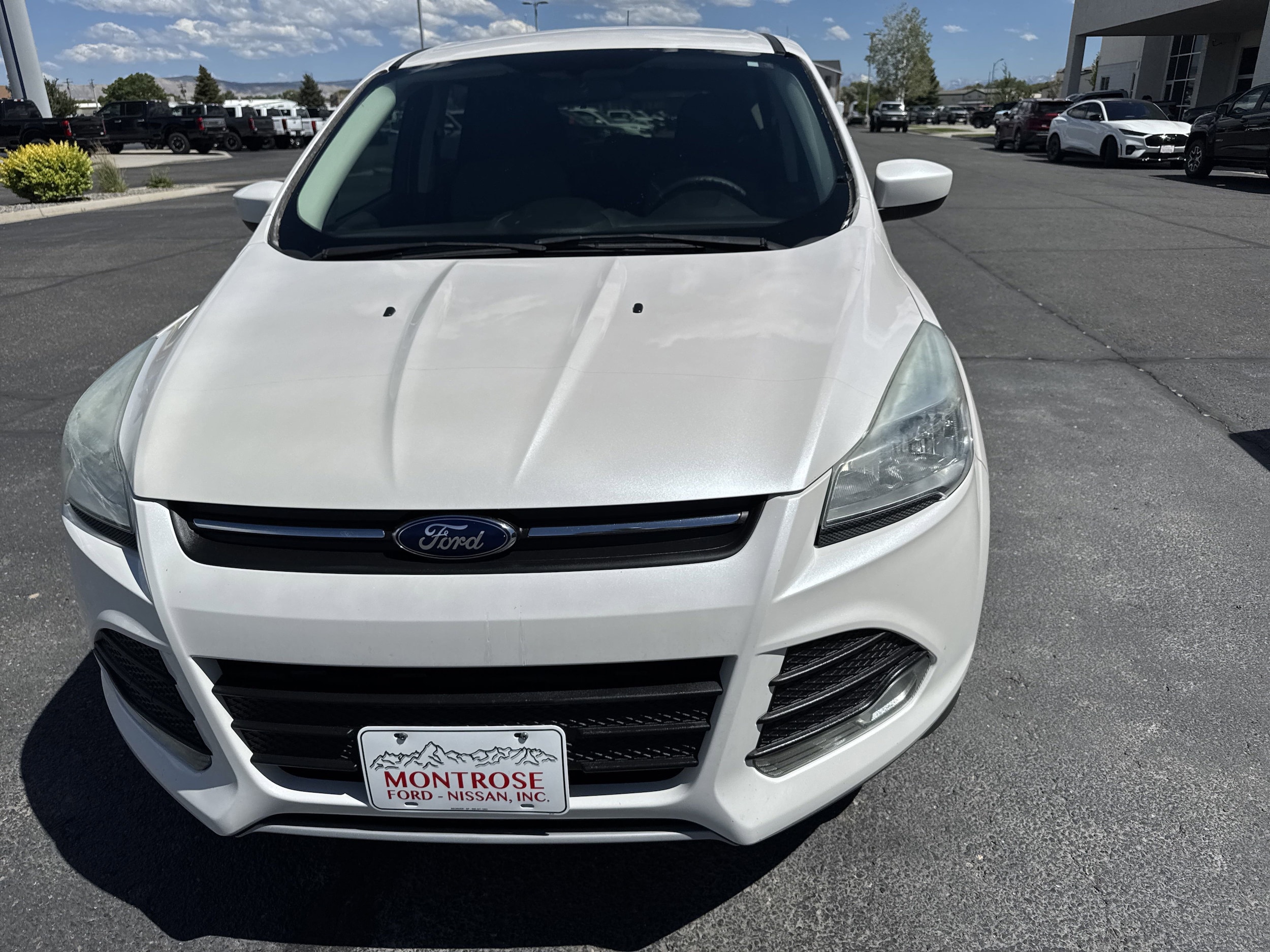 Used 2014 Ford Escape SE with VIN 1FMCU9GX9EUB30444 for sale in Montrose, CO