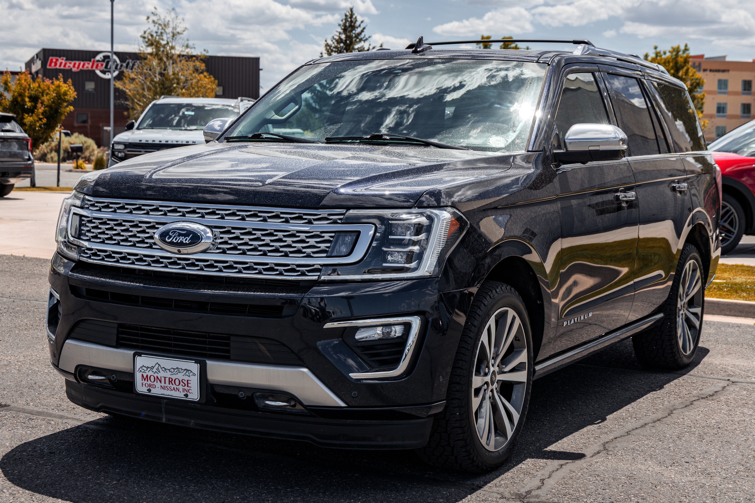 2021 Ford Expedition Platinum 4x4's photo