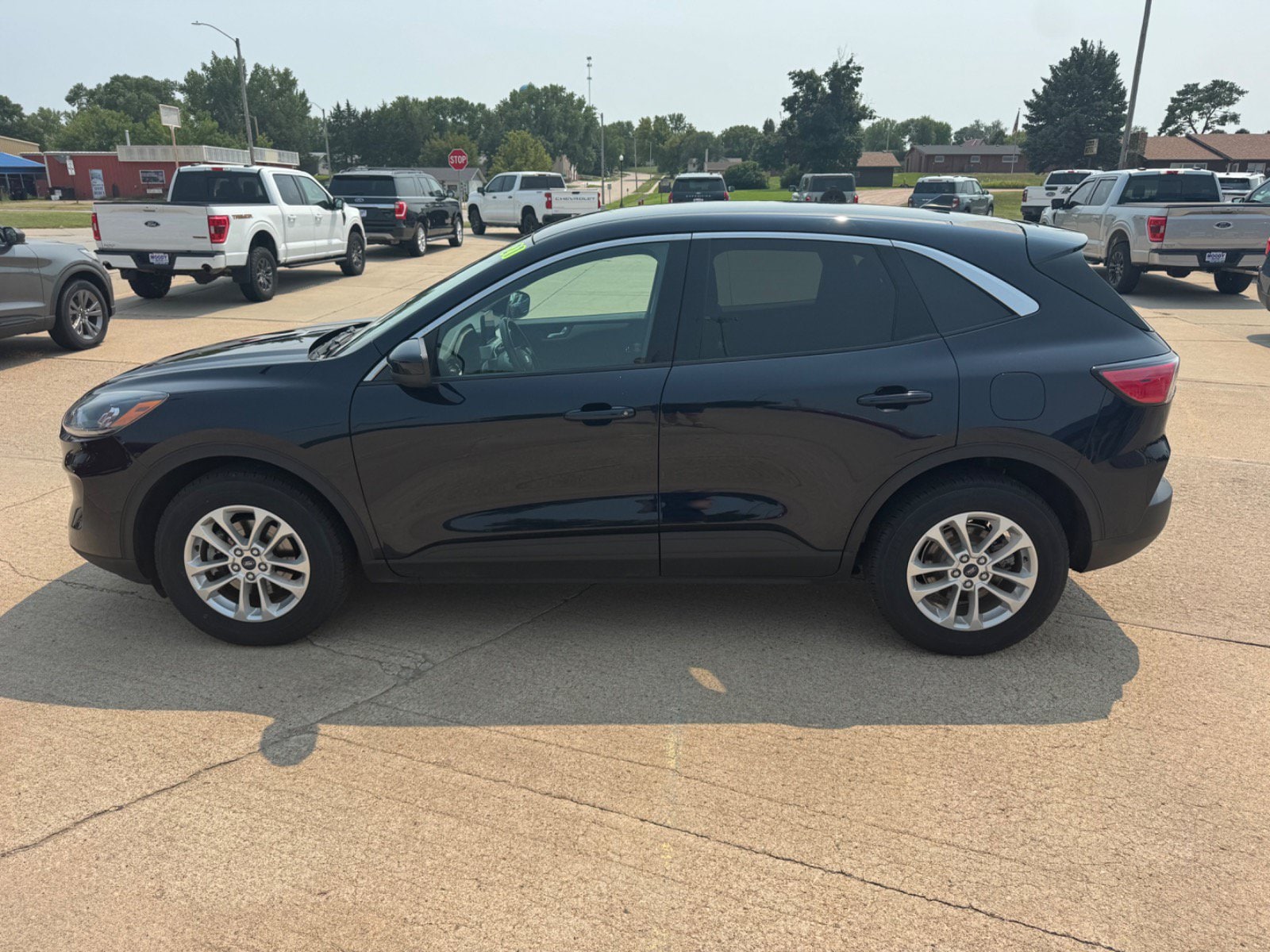 Used 2021 Ford Escape SE with VIN 1FMCU9G65MUA13000 for sale in Niobrara, NE