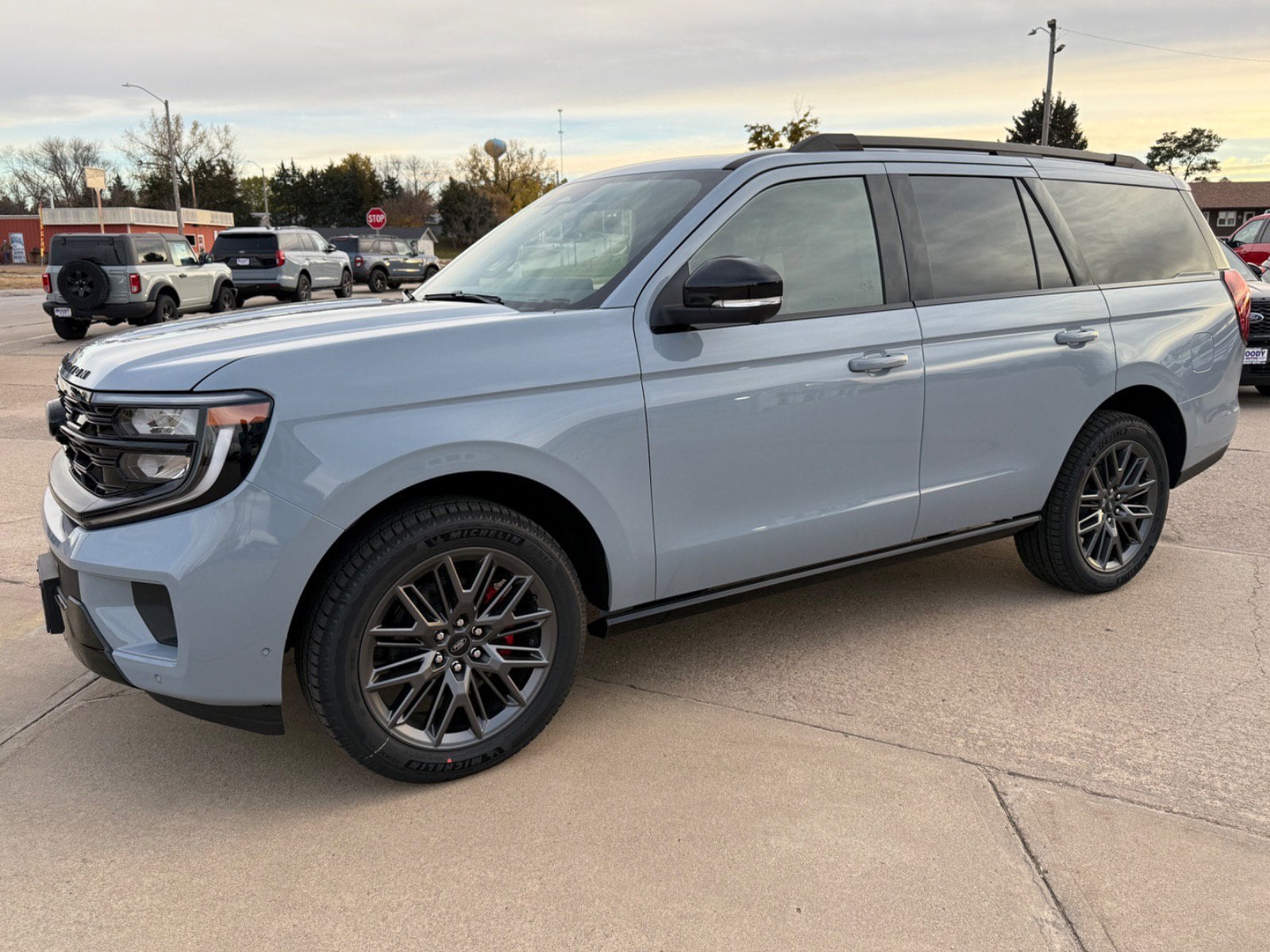 2025 Ford Expedition Platinum's photo